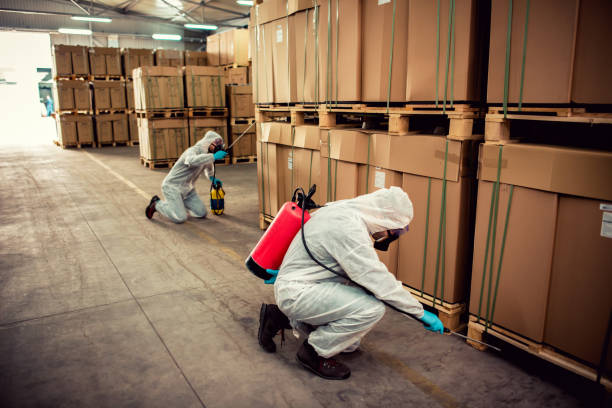 Best Bed Bug Extermination  in Ironton, MO