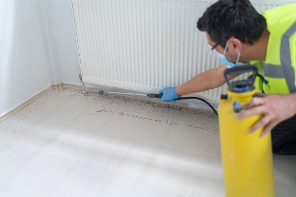 Best Exterminator Services  in Ironton, MO
