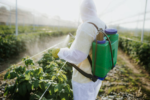 Best Pest Removal Services  in Ironton, MO